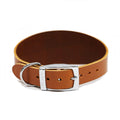 Buy Ancol Leather Greyhound Collar 47cm | Percys Pet Products