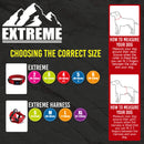 Ancol Extreme Padded Dog Harness with Handle - Percys Pet Products