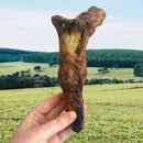 Buy Nova Dog Chews Ostrich Foot Large | Percys Pet Products