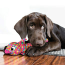 Buy KONG Wubba Finz Dog Toys - Percys Pet Products