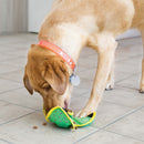 KONG Ballistic Hide ’n Treat