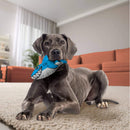 Buy KONG Maxx Shark Dog Toy - Percys Pet Products