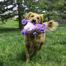 Buy KONG Knots Belly Hippo Dog Toy - Percys Pet Products