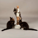 Scruffs Alpine Andes 'My First' Cat Scratching Post - Cream - Percys Pet Products