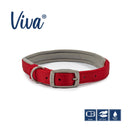 Buy Ancol Viva Padded Buckle Dog Collar | Percys Pet Products