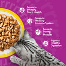 Buy Whiskas Senior 7+ Poultry Feasts in Gravy 85g - Percys Pet Products