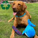 Ancol Oshi Whale Dog Toy - 27cm - Percys Pet Products