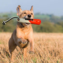 Buy KONG Wild Shieldz Floating Training Dummy | Percys Pet Products