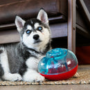 KONG Rewards Shell Treat Dispesing Dog Toy - Small - Percys Pet Products