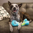 Buy KONG Wubba Octopus - Percys Pet Products