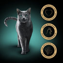 Sheba Tray Classic Chicken in Terrine Cat Food | Percys Pet Products
