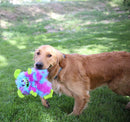 KONG Frizzles Razzle Dog Toy - Percys Pet Products
