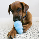 Buy KONG Snacks Puppy - Percys Pet Products