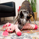 Buy KONG Shakers Crumples Bunny | Percys Pet Products