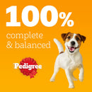 Pedigree Adult Mixed Selection in Jelly Dog Food | Percys Pet Products