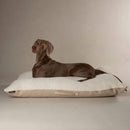 Buy Scruffs Eden Pillow Dog Bed - Percys Pet Products