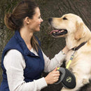 Flexi Giant Neon Retractable Tape Dog Lead - Percys Pet Products