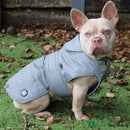 Ancol Stormguard Ultimate Reflective Dog Coat – Waterproof Warm Dog Jacket | Percys Pet Products