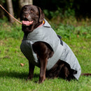 Ancol Stormguard Ultimate Reflective Dog Coat – Waterproof Warm Dog Jacket | Percys Pet Products