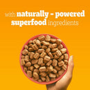 Pedigree Adult Complete with Poultry & Veg Dog Food | Percys Pet Products