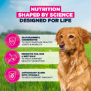 Buy Eukanuba Senior Large Breed Lamb & Rice - Percys Pet Products
