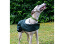 Ancol Muddy Paws Quilted Green Hound Coat - Percys Pet Products