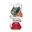 Versele-Laga Pluc I.C. Junior Mix for Young Racing Pigeons 20kg - Percys Pet Products