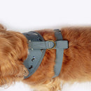 FatFace Marching Dogs Adjustable Harness - Percys Pet Products