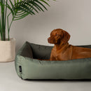 Scruffs Expedition Waterproof Box Bed