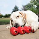 KONG Goodie Ribbon Dog Toy - Percys Pet Products