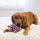 Buy KONG Low Stuff Stripes Pig Dog Toy - Percys Pet Products