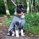 Ancol Stormguard Ultimate Reflective Dog Coat – Waterproof Warm Dog Jacket | Percys Pet Products
