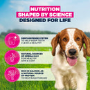 Eukanuba Small & Medium Adult Dry Dog Food Salmon & Barley 12kg - Percys Pet Products