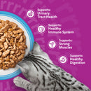 Whiskas Senior 7+ Fish Favourites in Jelly Cat Food 85g x 48
