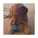 Buy Gor Sustain Curly Ball Dog Toy | Percys Pet Products