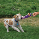 KONG TuggerKnots Frog Small/Med - Percys Pet Products