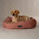 Buy Scruffs Seattle Box Dog Bed | Percys Pet Products