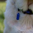 Ancol Aluminium Dog ID Tube – Lightweight Collar ID Tag for Dogs | Percys Pet Products