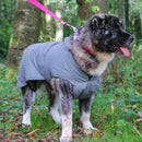 Ancol Stormguard Ultimate Reflective Dog Coat – Waterproof Warm Dog Jacket | Percys Pet Products