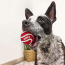 Buy KONG Signature Ball 3-Pack Dog Toy | Percys Pet Products
