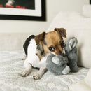 KONG Comfort Kiddos Dog Toy - Percys Pet Products