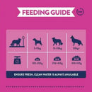 Burgess Greyhound & Lurcher Rich in Chicken Dog Food 12.5kg - Percys Pet Products