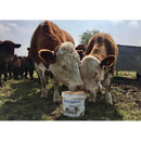 Buy DK Cattle Molamin Bucket Mineral Lick - Percys Pet Products