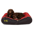 Dog Doza Active Style Box Border Dog Bed - Percys Pet Products