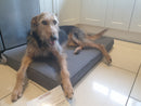 Gor Pets ULTIMA Memory Foam Sleeper Dog Bed - Percys Pet Products