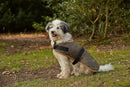 Gor Pets Worcester Quilted Dog Coat - Percys Pet Products