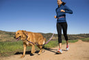 HALTI All-In-One Shock Absorption Dog Lead - Percys Pet Products