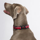 HALTI Premium Reflective Dog Collar - Percys Pet Products