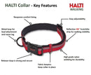 HALTI Premium Reflective Dog Collar - Percys Pet Products