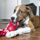 KONG Ball with Rope Dog Toy - Percys Pet Products